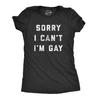 Sorry I Can't I'm Gay T-Shirt, LGBTQ+ Pride Month Tee