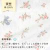 Baby Castle Bodyall 70 Rose Made in Japan Garden,
