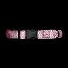 Embark Pets Illuminating Reflective Dog Size Small Collar, Pink,