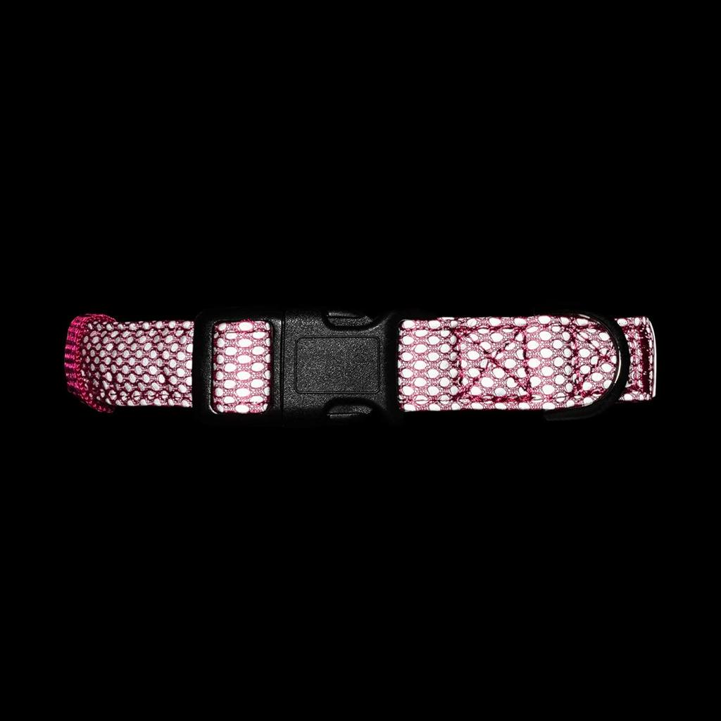 Embark Pets Illuminating Reflective Dog Size Small Collar, Pink,