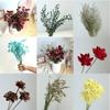 Yunnan Dried & Immortal Flowers Bouquet: Baby's Breath, Roses, Forget-Me-Nots for Home & Homestay Decor