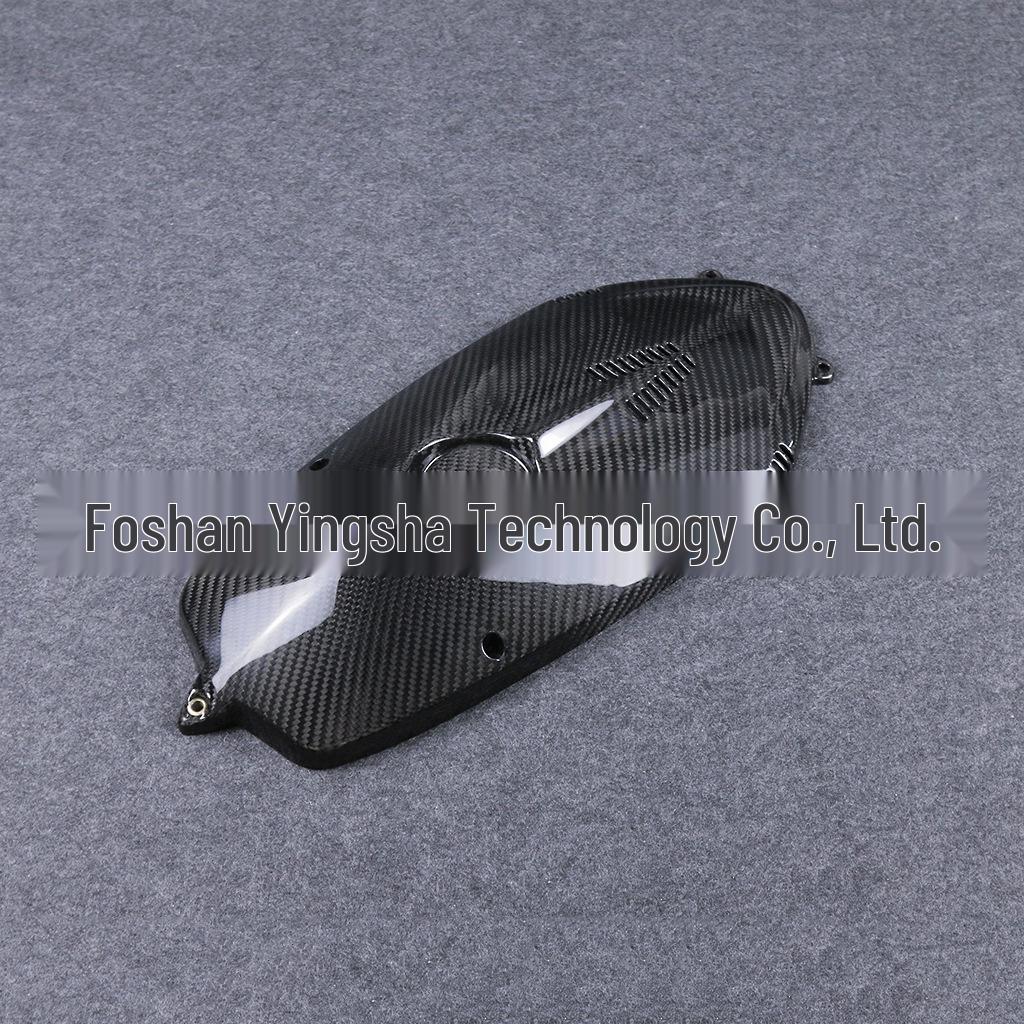 BMW R Nine T (2015-2016) Carbon Fiber Engine & Water Cooler Cover