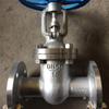 Medium Stainless Steel Gate Valve Z41W-16P, Flanged 316/304, Large/Small Diameter Manual Valve
