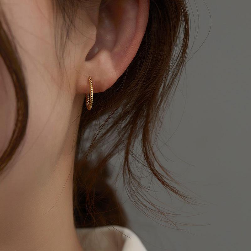 Ear Buckle Female Delicate Earrings Female Minimalist Light Luxury Fashion Senior Sense of Versatile Earrings Elegant Accessories Classic Jewelry