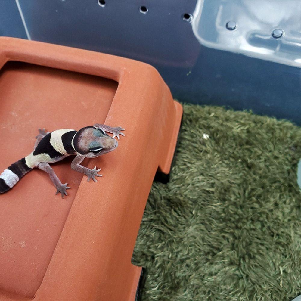 Simulation Frog Tortoise Mat Green Artificial Grass Mat Reptile Carpet  Reptile Box Decorate