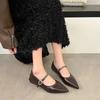 Designer Vintage Women Mary Jane Shoes Pointed Toe Shoes Laides Comfort Dress Street Style Low Heel Shoes