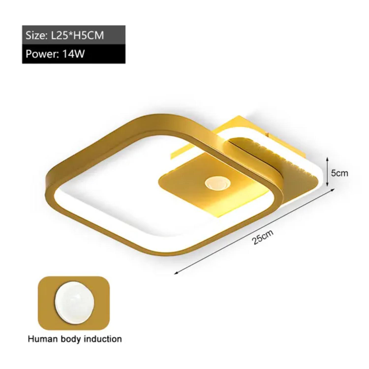 

Новый датчик движения PIR для людей, потолочные светильники для коридора, балкона, спальни, внутренние потолочные светильники, индукционное освещение, декор Neutral Light