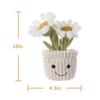 Apricot Lamb Potted Daisy Plush Toy for Kids, Soft and Cute Fluffy Potted Daisy for Girls and Boys, 25cm