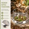 Smooth Edge Reptile Food Bowl Dual-Purpose Pet Water Dish Durable Water Turtle Dish  Reptile Pets