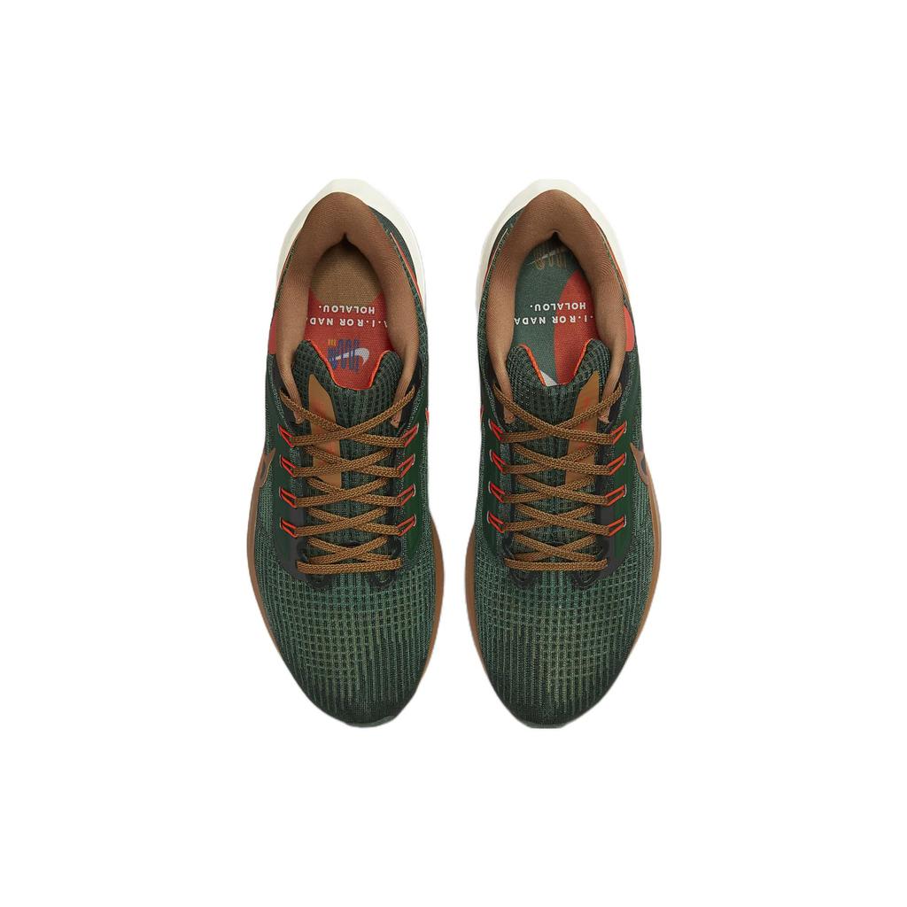 New Nike Air Zoom Pegasus 39 A.I.R. Hola Lou DO9500-300