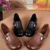 Retro Chunky-Heel Mary Janes New Spring/Fall Styles—Lightweight Fashionable and Slip-Resistant Shoes for Middle-Aged and Elderly Women