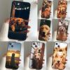 Golden Retriever Friend For Huawei Nova 9 10 SE 12i 12s 11i 8i Y90 Y60 Y70 Y72 Y73 Y61 Y91 P60 Pro P30 P40 Lite Case
