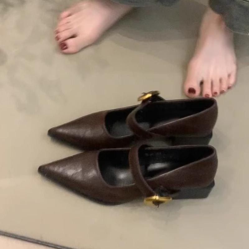 2025 New  Pointed Mary Jane Single Shoes Women's Spring New Fashion Retro Shallow Mouth Thick Heel Small  Shoes