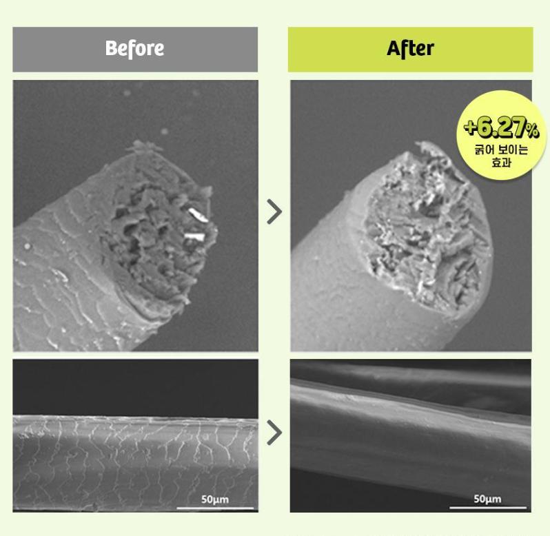 KAIST Patent Gravity Hair Lifting Water Treatment 270ml