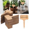 40pcs Wooden Write-On Plant Labels for Succulents Flowers Herbs Rustic DIY Craft Decorations for Indoor Outdoor Potted Plants