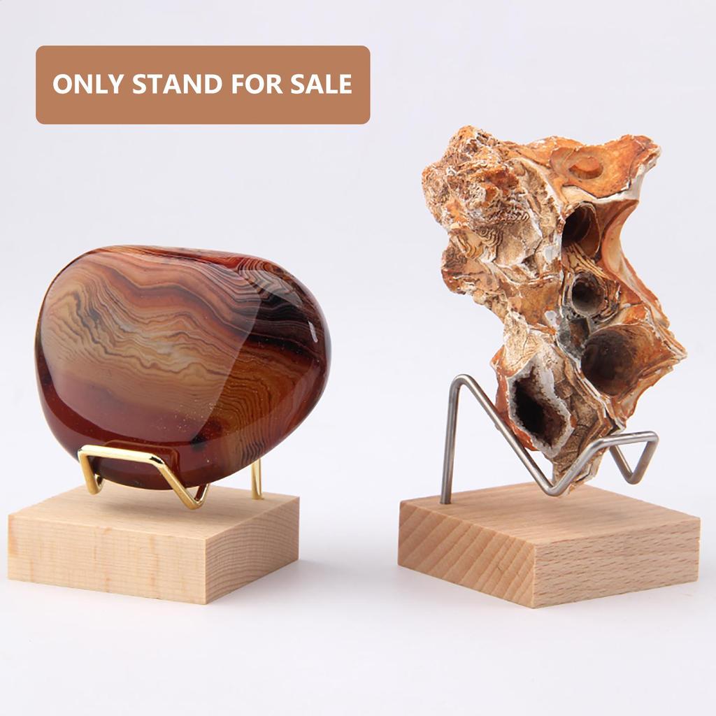 Kunsthandwerk Ausstellungsständer Holzsockel Kristall Ausstellungsständer für Fossilien Korallen Geoden Gestein Mineral Achat Kleine Sammlerstücke