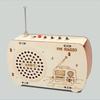 DIY Craft Wood Radio Material Set Wooden Scientific Training Experimental Kits  Science Education