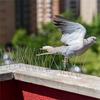 M-Modern-12-teiliges Anti-Vogel-Zaun-Vogelstachel-Set Vogelabwehr-Spikes Spikes Zur Verhinderung des Kletterns Balkon Vogelabwehr