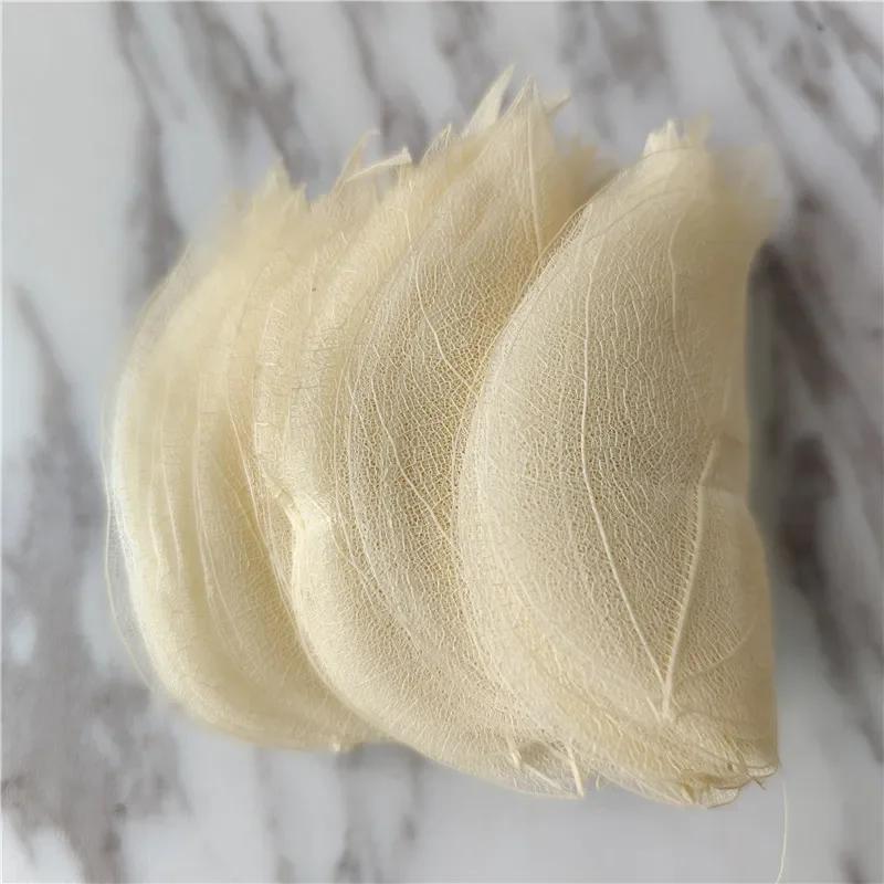 90PCS/Bag High Quality Real Dried Natural Vajra Leaf Vein Pressed Dry Flowers Skeleton Leaves DIY Wedding Flowers Decor Bookmark