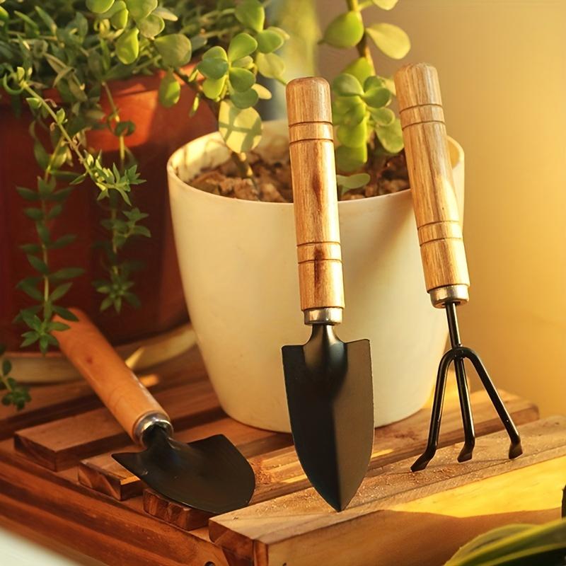 

3pcs/set, Garden Tool Set Rake Tip Shovel Large Gardening Mini Succulent Plant Loose Soil Flower Shovel чорний