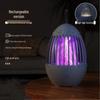 Electric Mosquito & Fly Killer Lamp