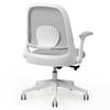 FLEXISPOT Office Desk Elbow with Lumbar Urethane Study Study Cute Chair, Chair, OC5, Flip-up Type, Support, Mesh, Foam, Lockable, Chair, Chair, (Gray)