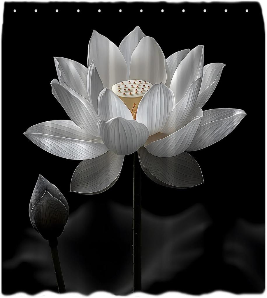 Lotus Shower Curtain Black White Flower Asian Elegant Blooming Floral Plant Nature Modern Art Bath Curtain with Hooks