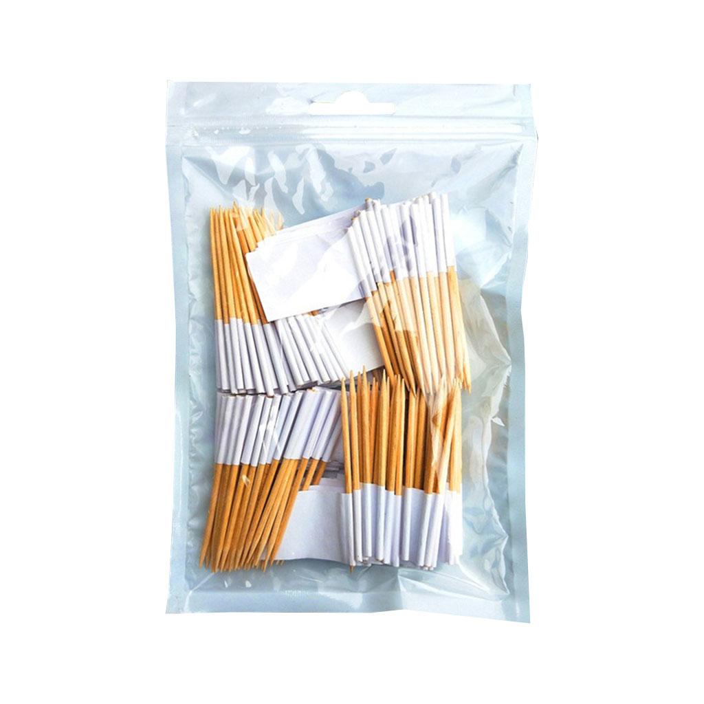 100 Pieces Blank Toothpick Flags Mini Food Labels with Wooden Sticks Cheese Markers Picks for Cupcake Topper Party Decor