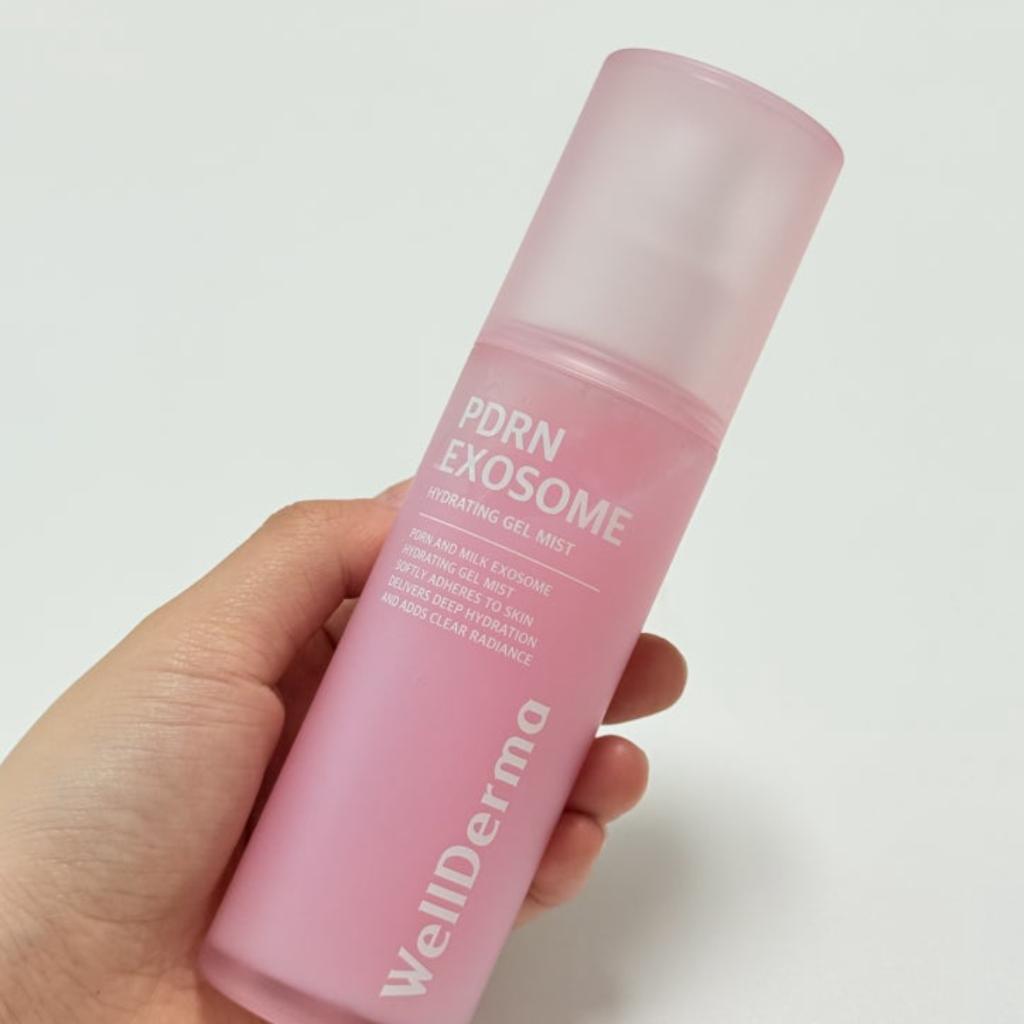 [WellDerma] PDRN Exosom Hydro Ampulle 30ml Feuchtigkeitsspray 100ml