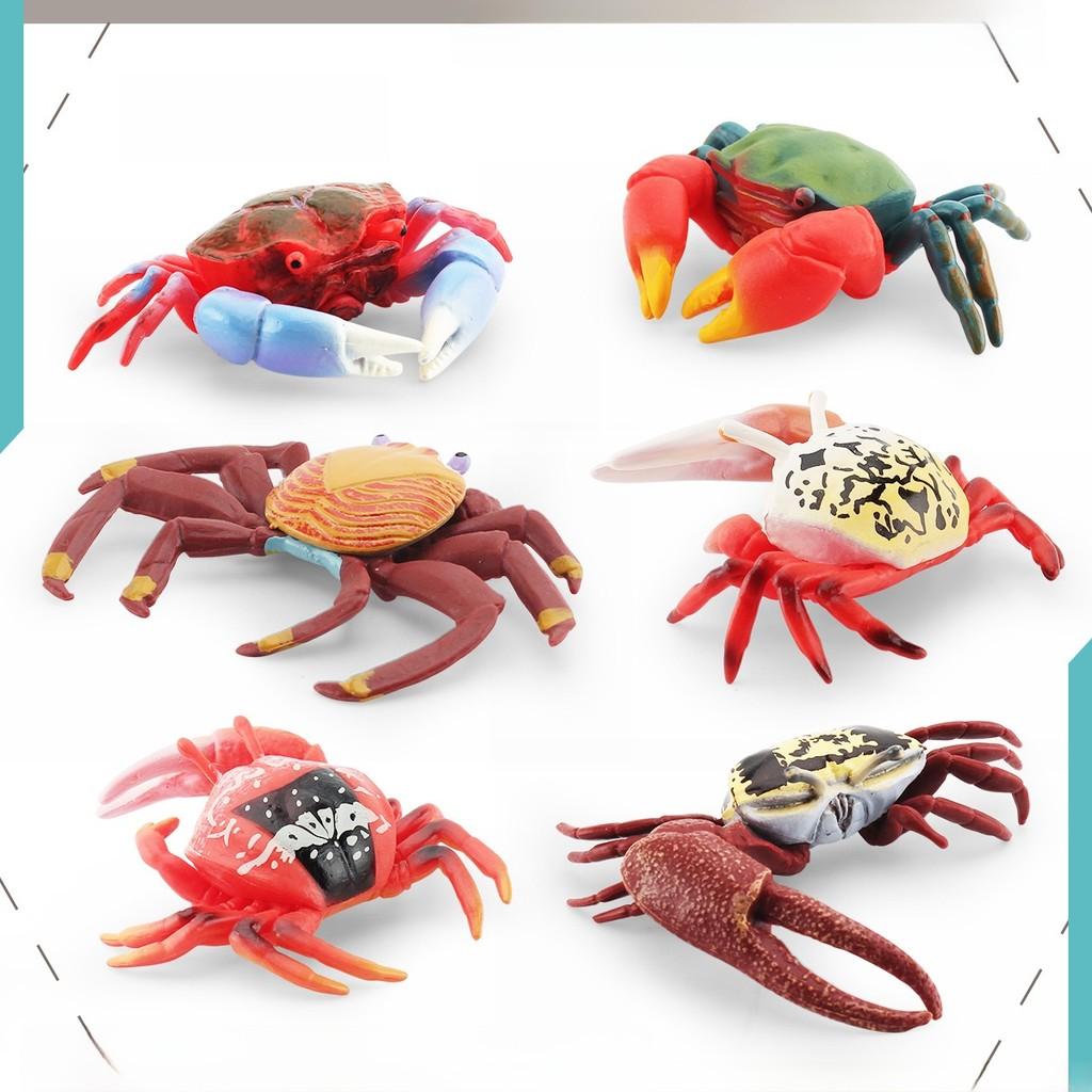 Marine Creature Model Pvc Fiddler Crab Figurine For Educational Display And Collection