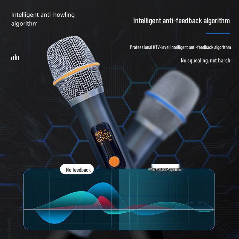 Philips Outdoor Portable Bluetooth KTV Speaker