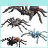 Realistic Wild Insect Model Pack With Static Spiders For Educational Displays And Collection Enthusiasts