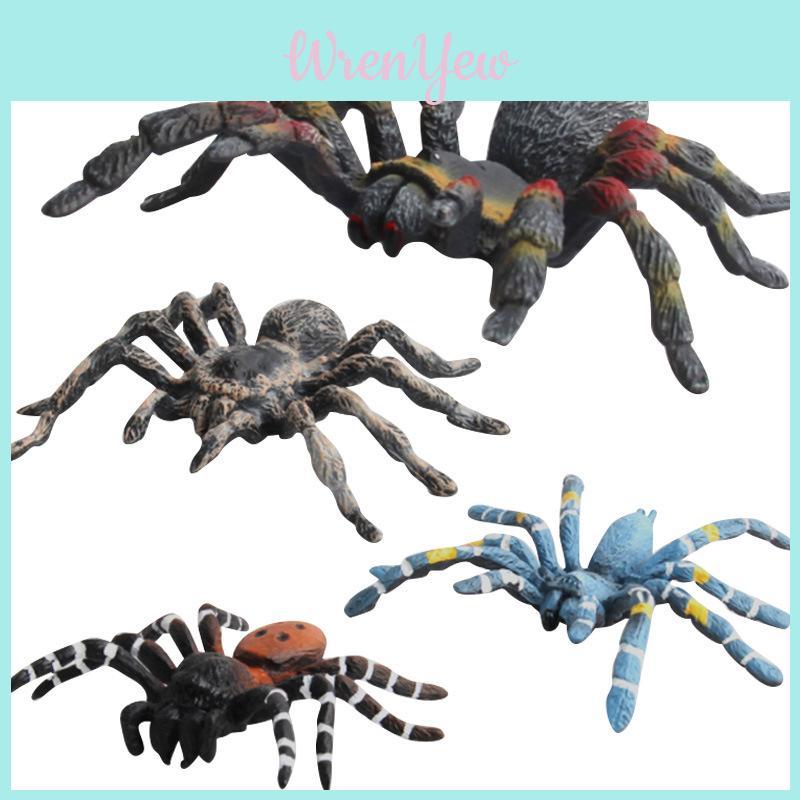 Realistic Wild Insect Model Pack With Static Spiders For Educational Displays And Collection Enthusiasts