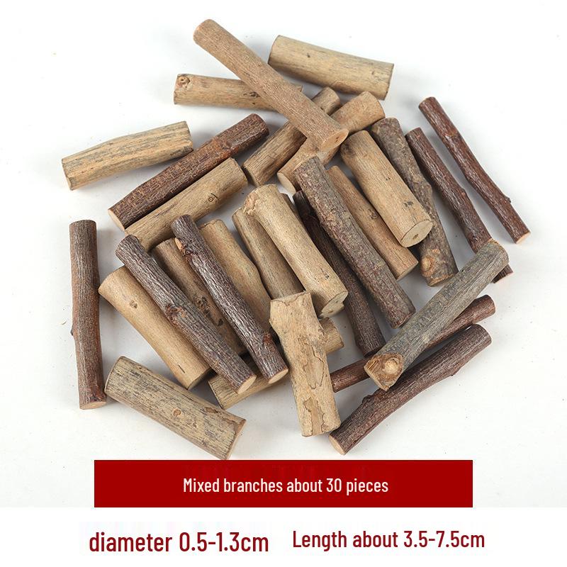 Wood Chips & Tree Slices DIY Craft Kit for Kids