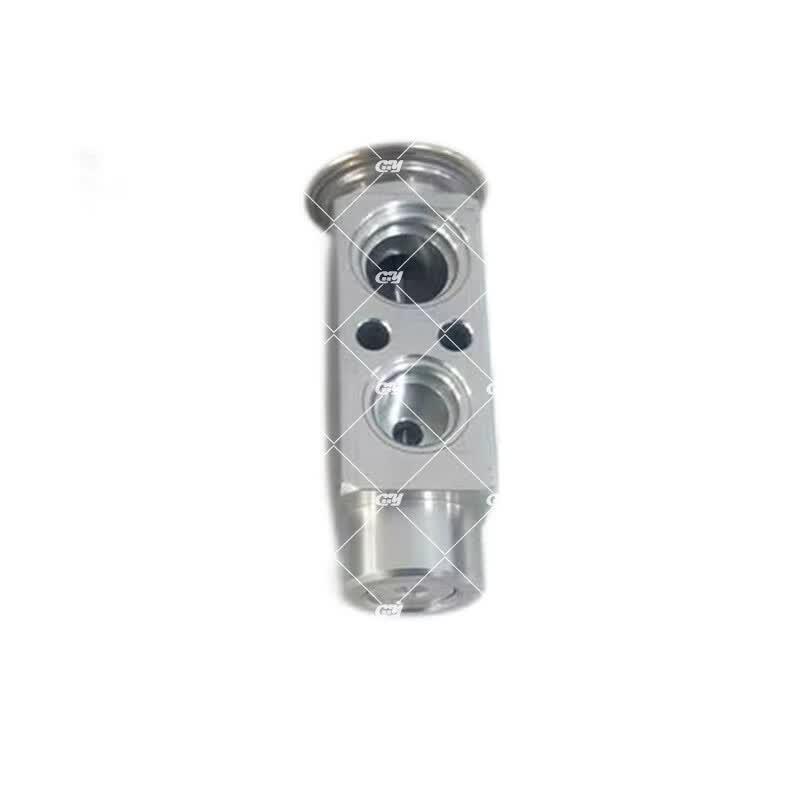 Dongfeng Mengshi EQ2050 AC Expansion Valve Assembly