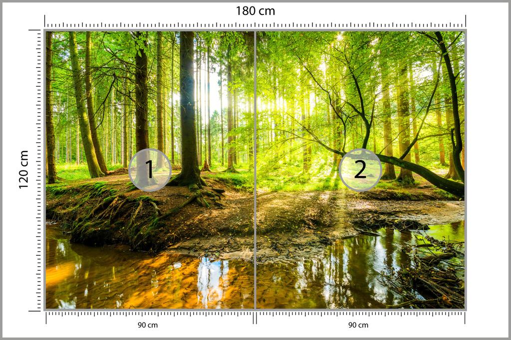Photomural Beautiful Forest Landscape In Spring In 3D Effect Smooth Vinyl 180x120