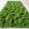 Artificial Green Moss Turf Lawn for Landscaping and Garden Decor