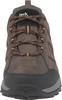Hiking Shoes Jack Wolfskin TRAIL HIKER TEXAPORE LOW M Hiking Shoe Waterproof Brown