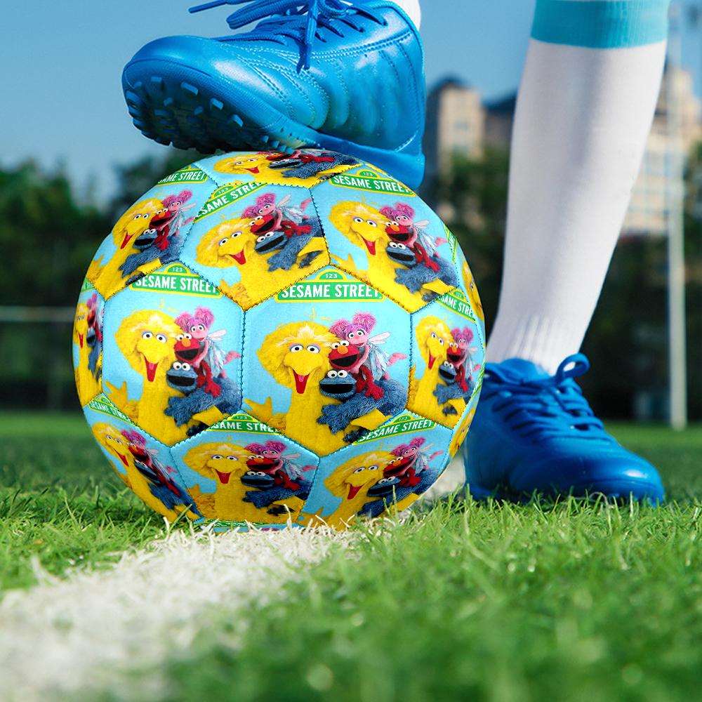 Sesame Street Theme Size 5 Soccer Ball, Suitable for Both Indoor and Outdoor Matches, a Gift Suitable for Everyone.