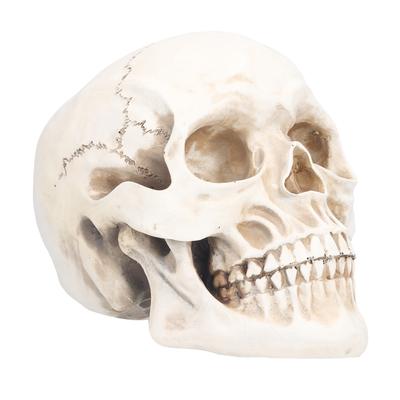 Slávnostné potreby – Halloweenské doplnky