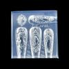 European Style Avatar Photo Frame 3D Silicone Nail Mold Diy Bow Design Transparent Manicure Template Nail Art Decoration Tool