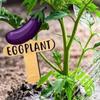 15PCS Reusable Plant Markers T-Type Vegetable Name Tag Insert Type Plant Sign  Garden Use