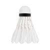 Feather Badminton Shuttlecocks, Goose Feathers, Class 2/3, Tube, 6 Pcs, Rebel