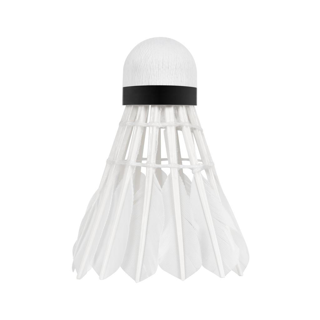 Feather Badminton Shuttlecocks, Goose Feathers, Class 2/3, Tube, 6 Pcs, Rebel