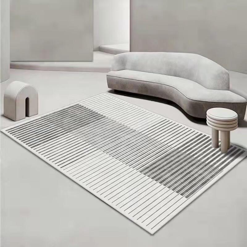 Visionary Simple Light Luxury Carpet