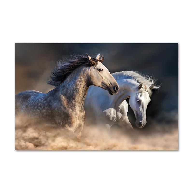 

Современные животные лошади искусство холст картины постеры и принты абстрактные настенные картины для гостиной украшения дома Cuadros 40x50cm No Framed