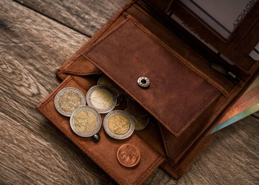 Large, Vertical Men's Wallet Made of Genuine Leather - Always Wild