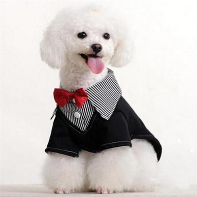 3 adet/grup Köpek Kedi Yaka Sevimli Papyon Kravat Evcil Hayvan Ürünleri Bakım Aksesuarları