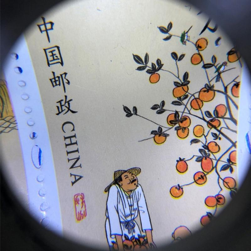 Magnifying Glass with Light, 30X Handheld LED Illuminated Magnifier for Seniors Reading, Inspection Jewelry