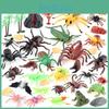 Lifelike Pvc Mini Insect Display Set With Frogs Ants Centipedes And Bees Educational Fun